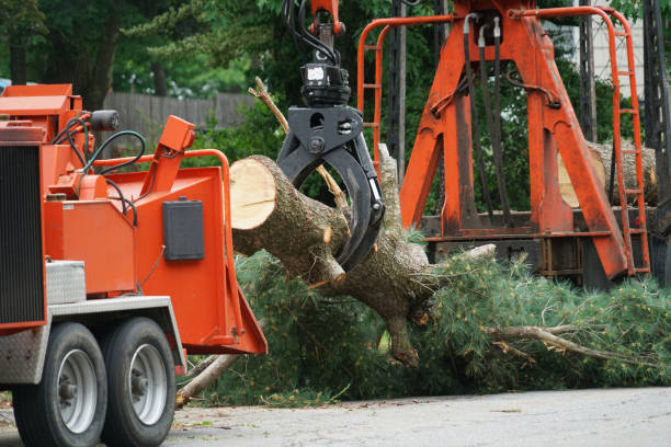 Best Lawn Renovation and Restoration  in Union Gap, WA